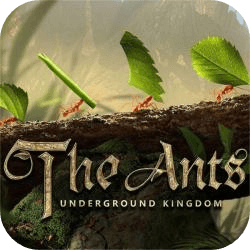 小小蚁国速度慢、连不上怎么办？灵缇提速联机方法汇总