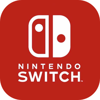 Switch 商店速度慢、连不上怎么办？灵缇提速联机方法汇总