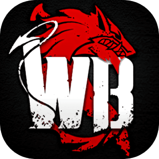 狂野降生速度慢、连不上怎么办？灵缇提速联机方法汇总