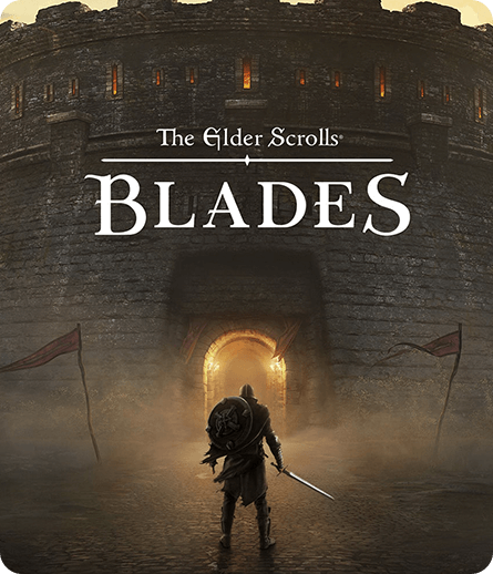 PS-上古卷轴刀锋速度慢、连不上怎么办？灵缇提速联机方法汇总