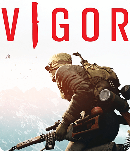 Switch-Vigor速度慢、连不上怎么办？灵缇提速联机方法汇总