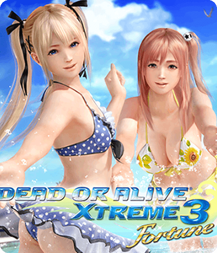 死或生：沙滩排球3速度慢、连不上怎么办？灵缇提速联机方法汇总