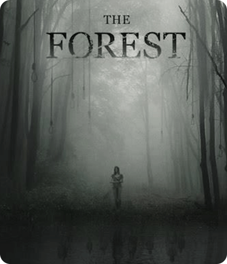 森林速度慢、连不上怎么办？灵缇提速联机方法汇总