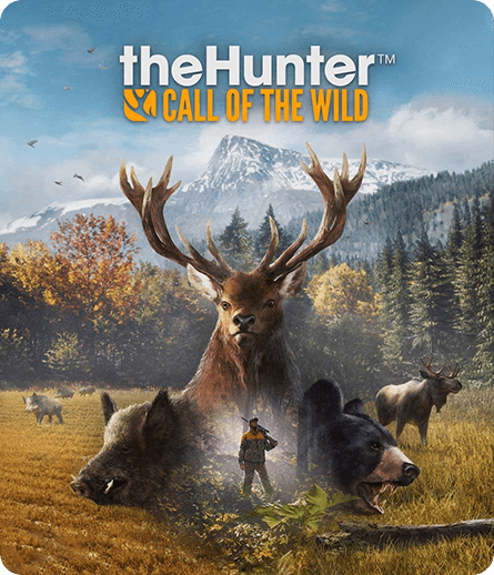 猎人：野性呼呼速度慢、连不上怎么办？灵缇提速联机方法汇总